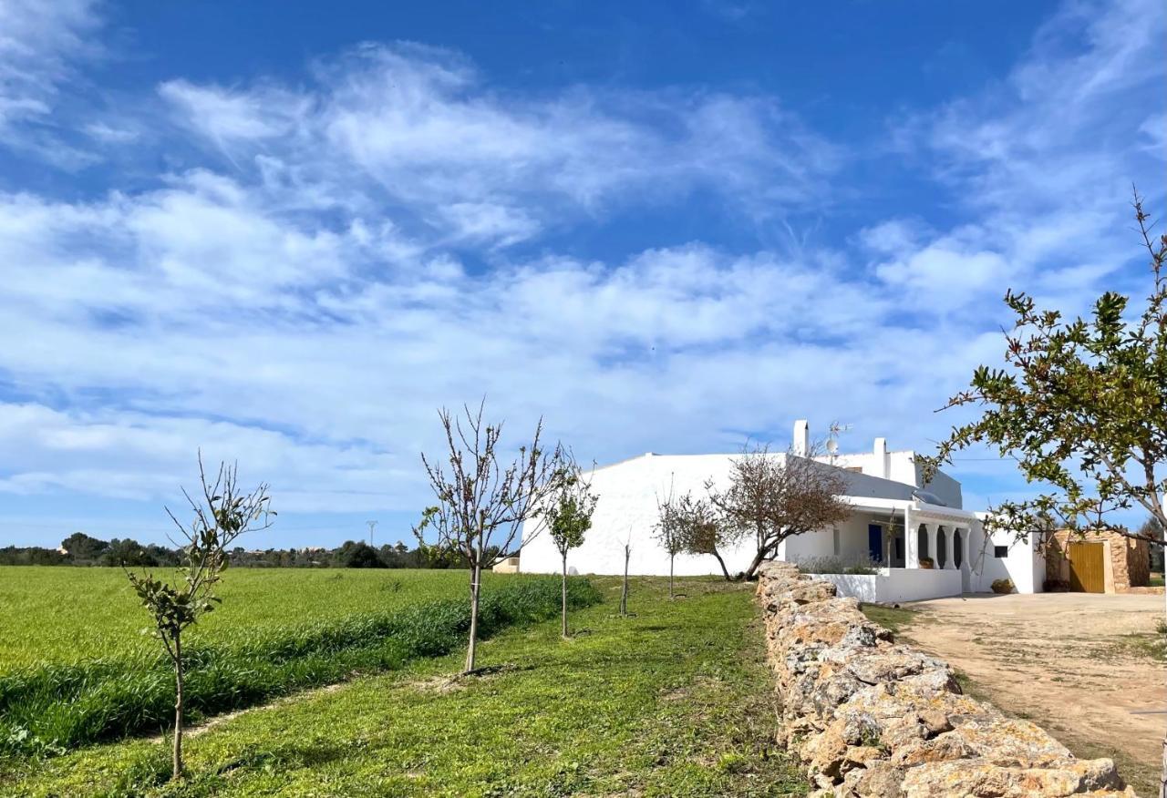 Can Marianet San Ferrán de ses Roques Kültér fotó